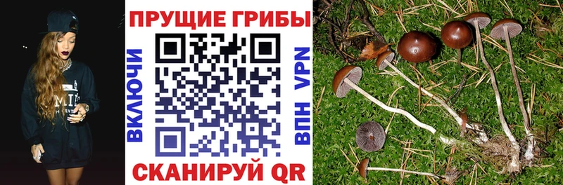 Галлюциногенные грибы Magic Shrooms Купить Адыгейск